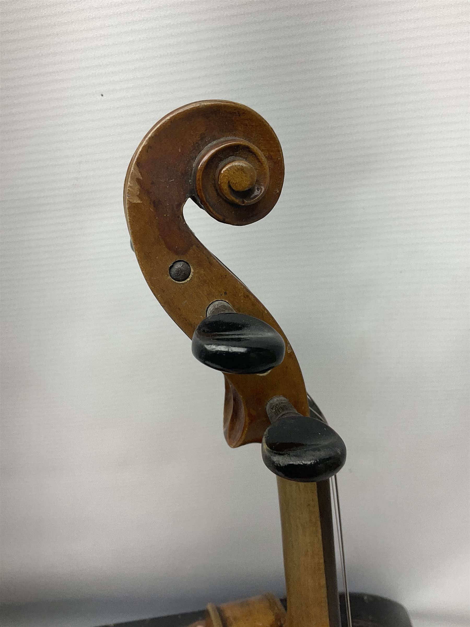 Late 19th century Saxony violin with 36cm one-piece maple back and ribs and spruce top; bears label 'Josef Klotz in Mittenwalde Anno 1795' L60cm overall; in ebonised wooden 'coffin' case