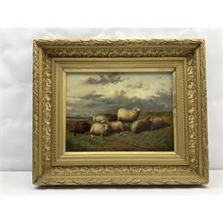Samuel Joseph Clark (British 1834-1912): Sheep in Landscape, oil on canvas signed 29cm x 38cm