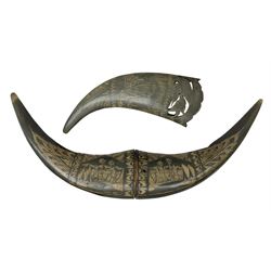 Carved water buffalo horn wall pocket, e