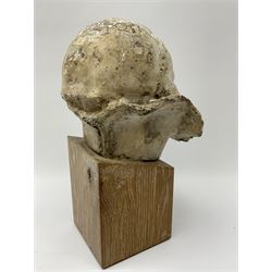 Composite stone bust depicting a baby with ruffle on a oak plinth, H27cm