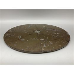Circular limestone table top, with Orthoceras and Goniatite inclusions; age: Upper Devonian, location: Morocco, D45cm