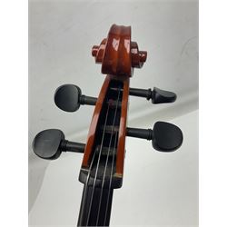 Gear4Music three-quarter sized cello with 70cm one-piece back and spruce top; bears maker's label; L112cm overall; in soft carrying case with Erich Steiner bow