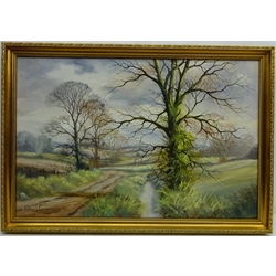  County Path, 20th century oil on canvas signed by Peter J.Greenhill 50cm x 75cm  