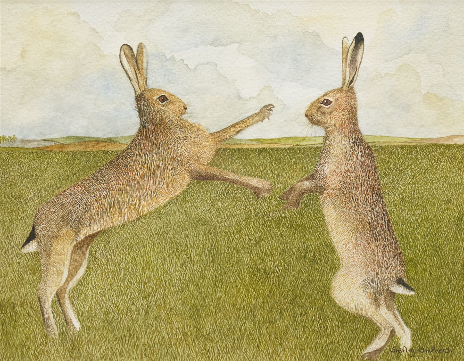 Shirley Smithers (British 20th century): 'March Hares', watercolour signed, labelled verso 18cm x 23cm