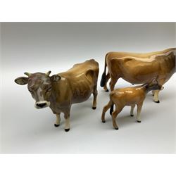 Beswick Jersey family group, comprising bull Dunsley Coy Boy model no 1422, cow Newton Tinkle model no 1345, and calf model no 1249d.