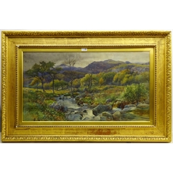 Arthur Netherwood (British 1864-1930): Wooded River Landscape, watercolour signed and dated 1898, 49cm x 89cm