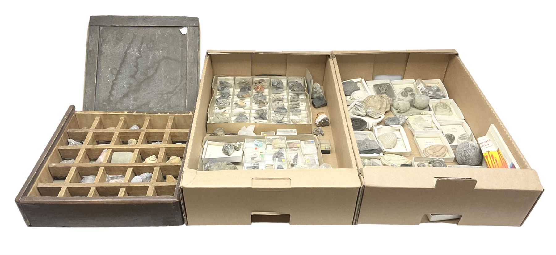 Natural history; Collection of rock and mineral specimens to include muscovite, sphalerite zinc blende, breccia, migmatite, fluorite etc, housed in a wood box, some named 