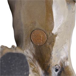 Bronze figure, modelled as a cougar or panther in crouching pose, signed Milo and also bearing foundry mark, L40cm