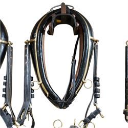 John McDonald - team set of black leather and brass harness, including four black patent leather collars (24