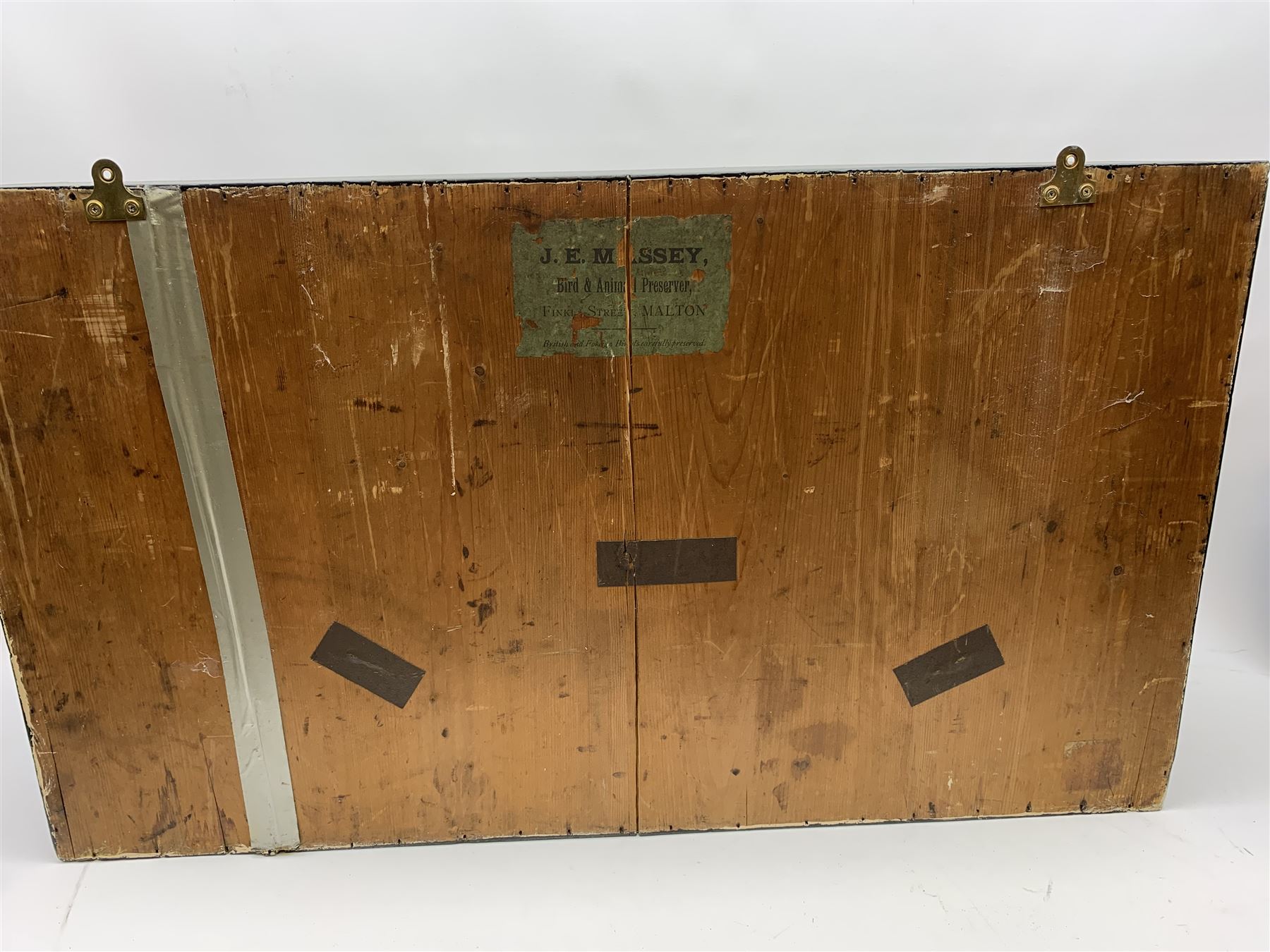 Taxidermy: female Goosander (Mergus Merganser), male Green Wing Teal Duck (Anas Carolinensis), and Little Grebe (Tachybaptus Ruficollis), in naturalistic setting detailed with long grass, set against a painted cream backdrop, encased within an ebonised single pane display case, with taxidermist paper label verso detailed J E Massey, Finkle Street, Malton, H50.5cm W89cm D21cm