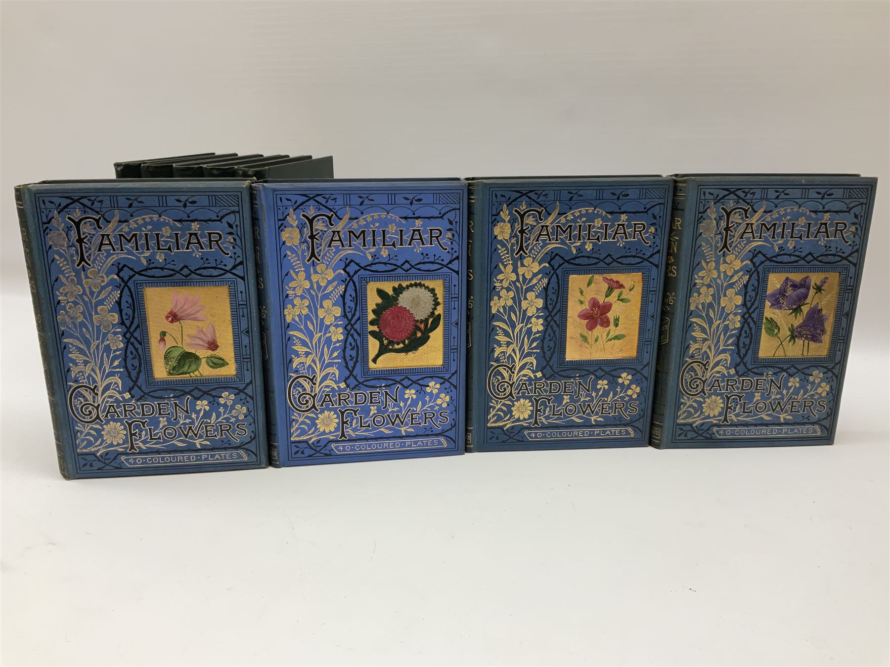 Hulme, F. Edward; 'Familiar Wild Flowers' with coloured plates, five volumes, together with Hulme, F. Edward; 'Familiar Garden Flowers' described by Shirley Hibberd with coloured plates, five volumes, each with coloured title labels 