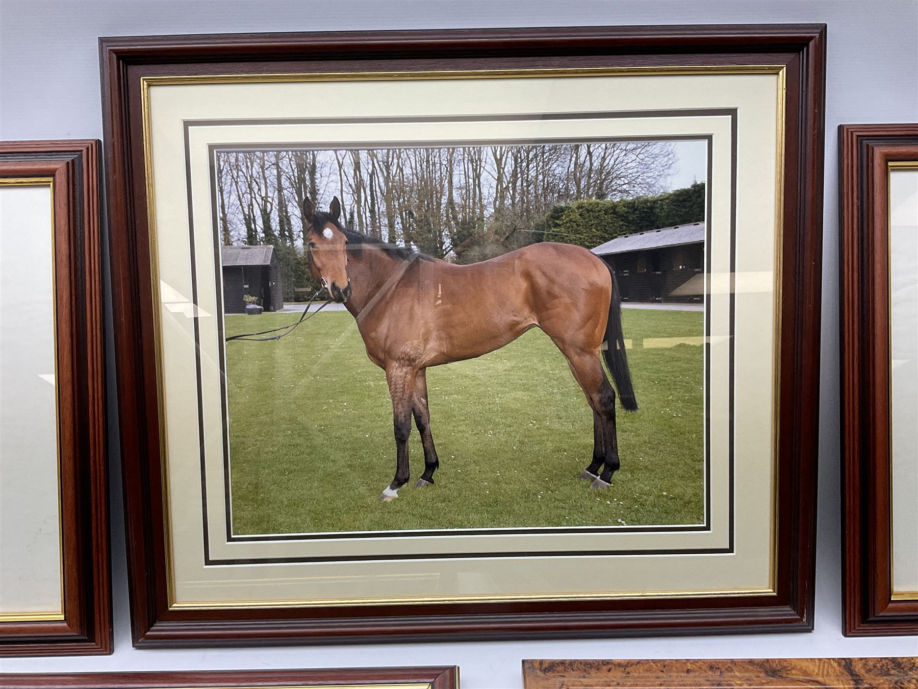 After G Keane (British 20th century): 'Mill Reef' and 'Brigadier Gerard', pair colour prints together with three further prints of Race Horses (5)