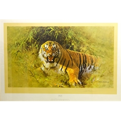  'Tiger Fire', limited edition colour print No.763/850, signed in pencil by David Shepherd (British 1931-2017) pub. Solomon & Whitehead 79cm x 115cm   