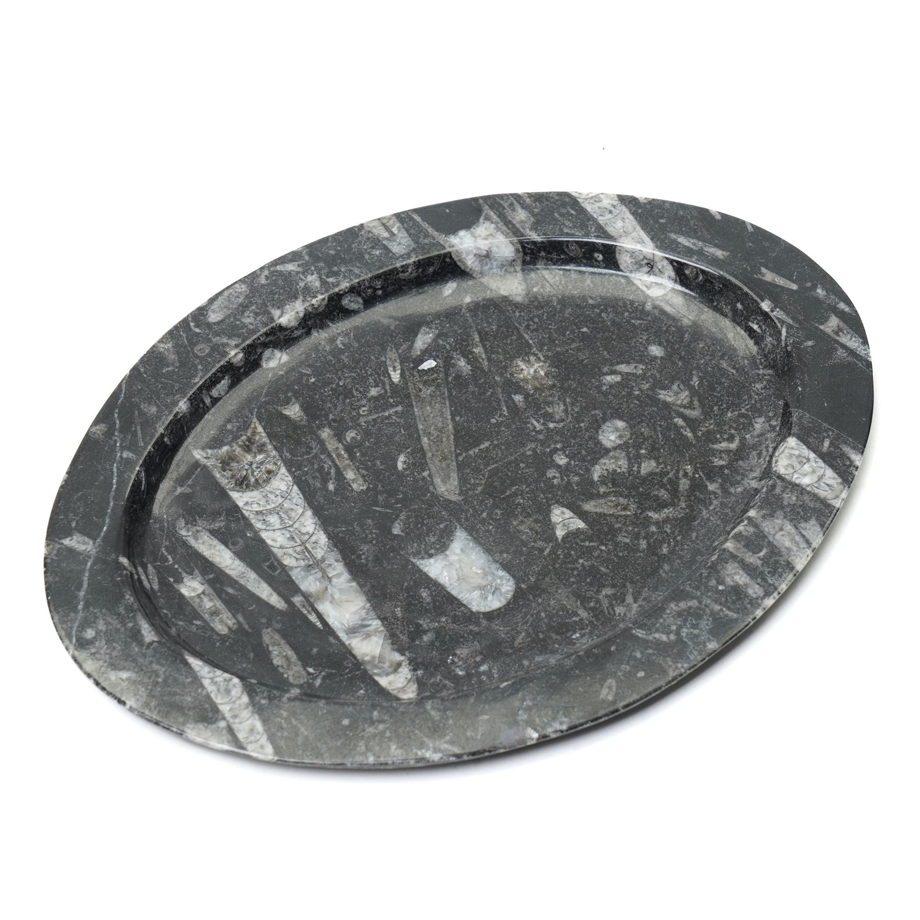 Oval dish with orthoceras inclusions W26cm and a similar smaller dish (2)