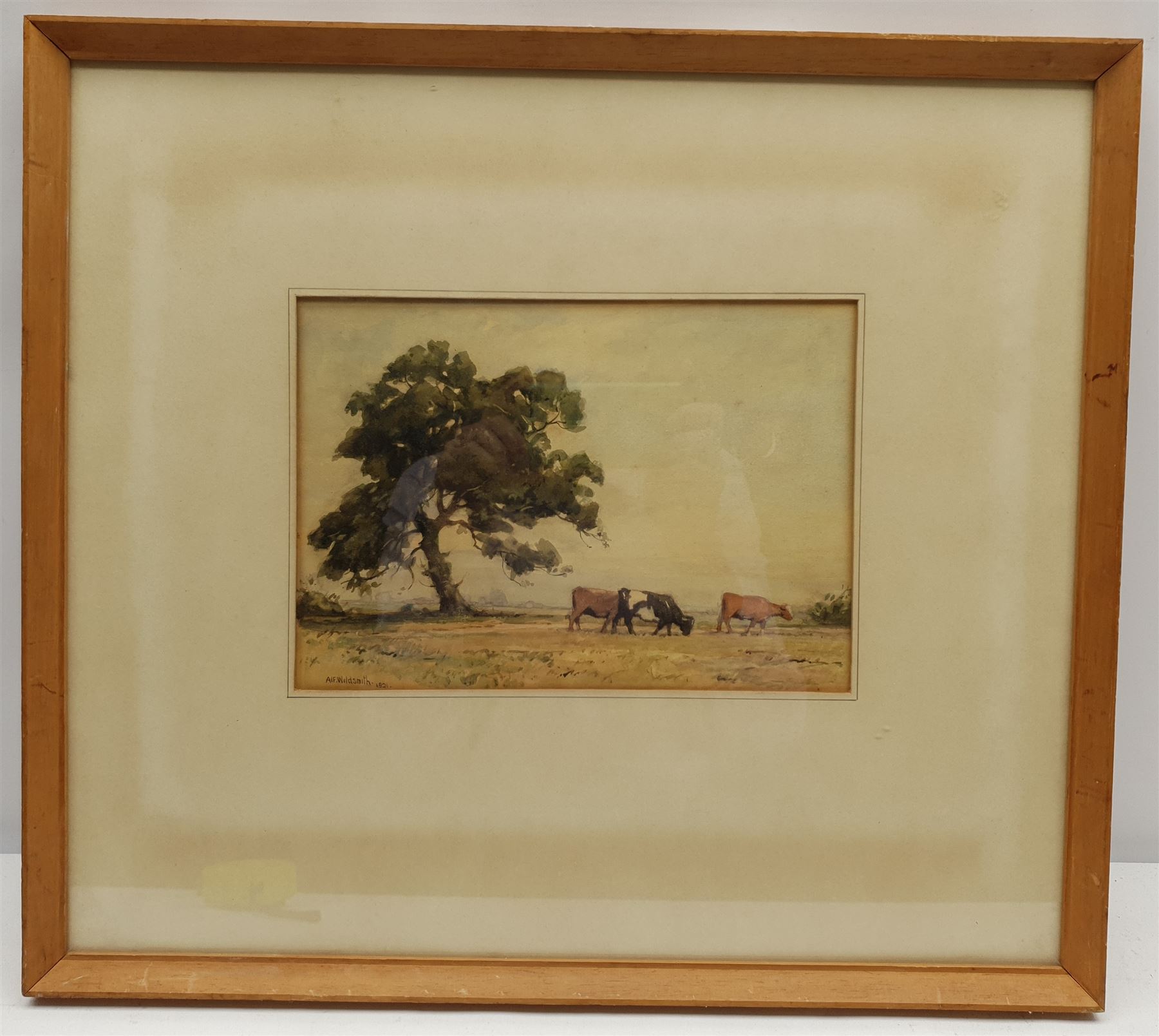 Alfred Wildsmith (British 1876-1936): Cattle Grazing, watercolour signed and dated 1921, 17cm x 25cm