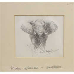  Approaching Elephant, monochrome lithograph signed and inscribed on the mount by David Shepherd 12cm x 14cm  