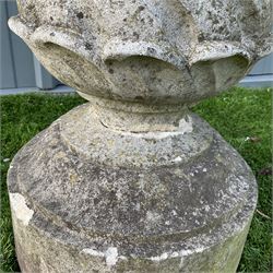 Haddon stone bird bath sundial - THIS LOT IS TO BE COLLECTED BY APPOINTMENT FROM DUGGLEBY STORAGE, GREAT HILL, EASTFIELD, SCARBOROUGH, YO11 3TX