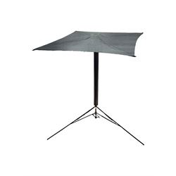 Victorian magician's cane, the mahogany 