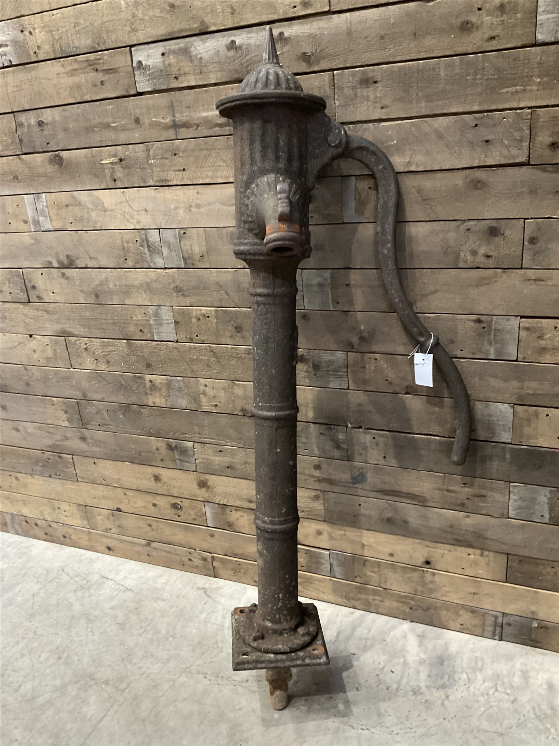 19th century cast iron water pump, lion crest with registration mark