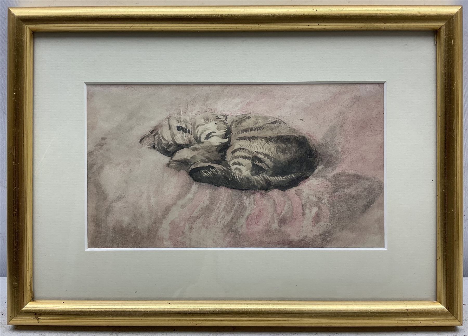 Attrib. Gwen John (British 1876-1939): Tabby Cat Sleeping, watercolour unsigned 11.5cm x 21cm