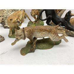 Ten Franklin Mint National wildlife Foundation Big Cats of the World figures to include, White Bengal Tiger, Jaguar, Cougar, Cheetah, Clouded Leopard etc, with display stand