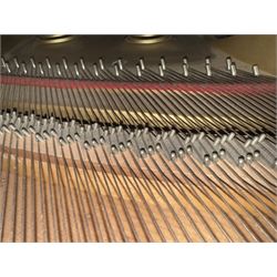 Yamaha - Baby Grand (5' 3