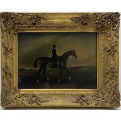 English School (19th century): Portrait of a mounted Chestnut Hunter, oil unsigned 21cm x 29cm