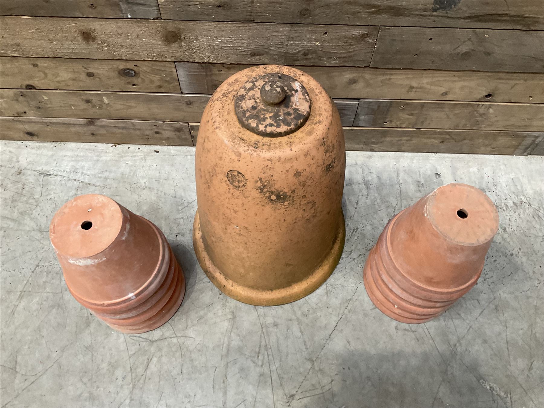 Yorkshire Flower Pots - Terracotta rhubarb forcer (H49cm, D40cm) and ten Sankey terracota plant pots (H17cm, D20cm)