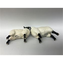 Collection of Beswick figures modelled as sheep, to include Wensleydale sheep no.4123, black faced sheep no.1765, two black faced rams, etc (9)