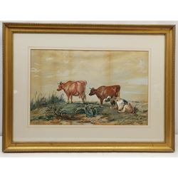 English School (19th century): Cows Resting in Open Pasture, watercolour unsigned 33cm x 53cm
