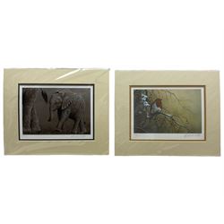Robert E Fuller (British 1972-): Lurcher, limited edition print signed and numbered 573/850 in pencil 21cm x 31cm; John Naylor (British 1960-): Dog, limited edition print signed and numbered 6/225 in pencil 17cm x 17cm; together with two further Robert E Fuller prints of Elephants and a Robin (unframed) (4)