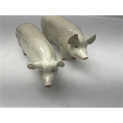 Three Beswick pigs, CH Wall CH Boy 53, 8cm high, CH Wall Queen and seated pig no 839
