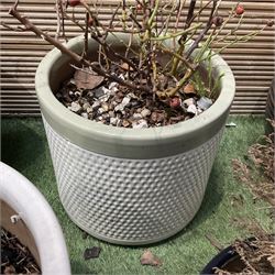 Set of six garden planter pots  - THIS LOT IS TO BE COLLECTED BY APPOINTMENT FROM DUGGLEBY STORAGE, GREAT HILL, EASTFIELD, SCARBOROUGH, YO11 3TX