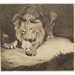 Warwick Reynolds (British 1880-1926): Study of a Lion, etching signed in pencil 23cm x 25cm