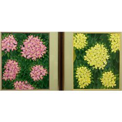 CGP (British Contemporary): 'Rhododendrons', pair watercolours signed with initials titled and dated '97, 45cm x 37cm