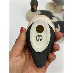 Group of eleven Scottish 'Isle of Arran' bisque porcelain birds, to include Great Northern Diver, Eider, great Crested Greebe, Artic Tern, King Penguin, etc.
