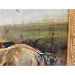 T F Garnett (British 19th/20th century): Horse Breaking Free from Plough, oil on canvas signed and dated 1902, 50cm x 65cm