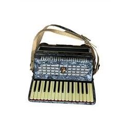 Parrot- Chinese accordion, with 30 treble keys and 24 bass buttons, 14 fold bellows. In a velvet lined hard case.