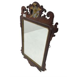 Victorian mahogany mirror, pierced and carved frame with scrolling and gilt gryphon decoration