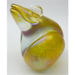  John Ditchfield for Glasform, iridescent glass Frog paperweight signed with label, H13cm   