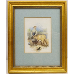  Still Life of Flowers, two early 20th botanical watercolours unsigned, Girl Feeding Cow and Going to the Well, two colour prints after Myles Birket Foster (British 1825-1899) max 28cm x 18cm (4)  