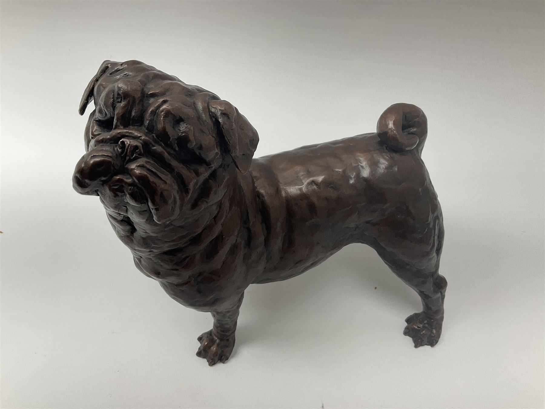 Grant Palmer, cold cast bronze model of a pug, H21.5cm L21cm