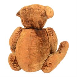20th century teddy bear, red/brown mohair bear with black plastic eyes, straw filled snout with stitched nose and downturned mount, jointed limbs, swivel head and hump to back, H52cm
