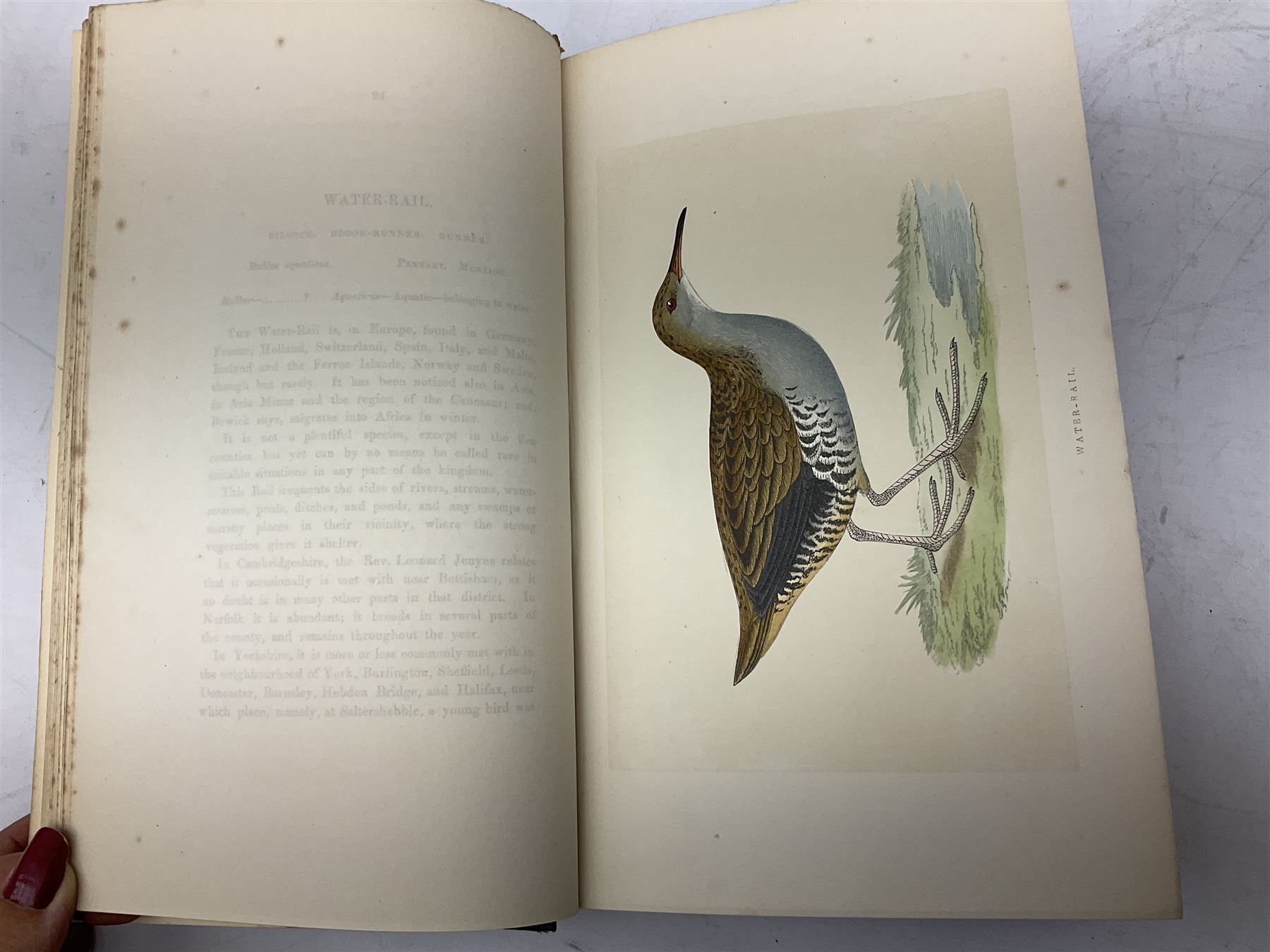 Morris, Rev Francis Orpen; A History of British Birds, six volume set. In original gilt embossed cloth, with approximately 358 hand coloured plates