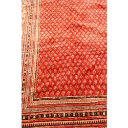  Araak red ground rug, field filled with boteh with a graduated multicoloured striped geometric border, 364cm x 270cm  