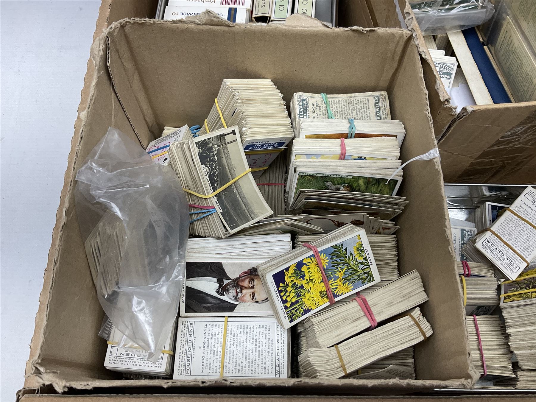 Quantity of cigarette and trade cards, housed in albums and loose, by W.D. & H.O. Wills, John Player & Sons etc, including cycling, garden hints, Britain's railways, dogs etc and various empty vintage cigarette card albums, in two boxes
