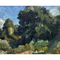 French School (20th Century): Impression