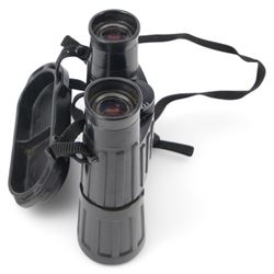 Zeiss 10 x 40 B binoculars, serial no. 271140 made in West Germany, in original soft case