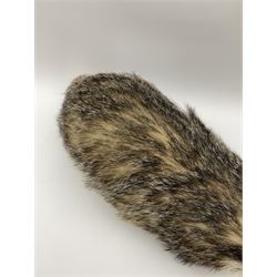 Taxidermy: European badger (Meles meles) full mount in walking position L82cm. 