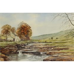 George 'Griff' Griffiths (British 1939-2017): New House Deepdale Langstrothdale, watercolour signed and dated '82, 38cm x 56cm